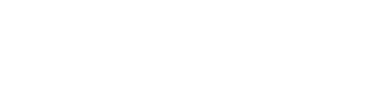 Xpel Matt Folierung XPEL Stealth Logo